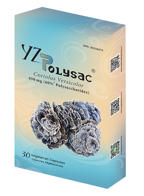 YZ Polysac 產品包裝正面
